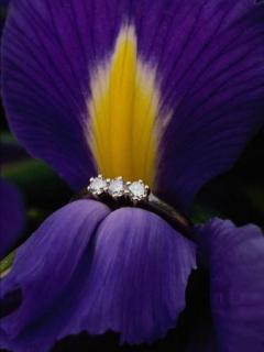 Ring on flower