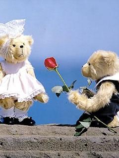 Teddy couple