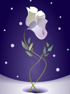 White flower