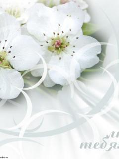 White flower