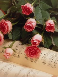 Skin rose