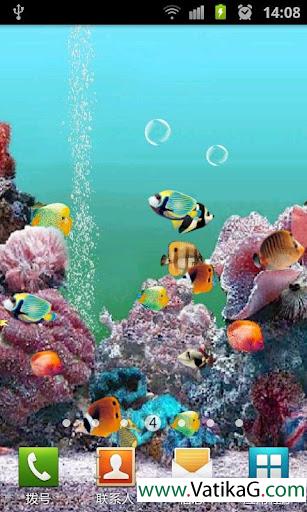 Underwater world live wallpaper