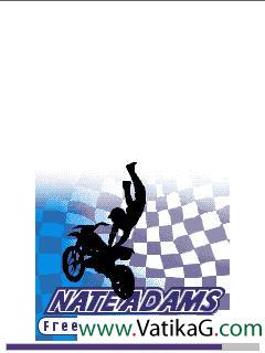 Freestyle motocross