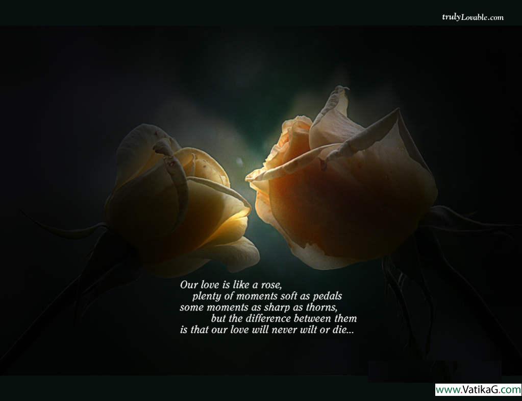 Skin rose 