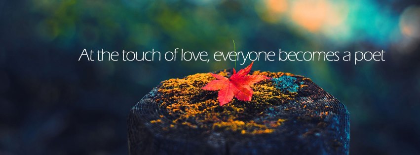 Touch of love facebook cover