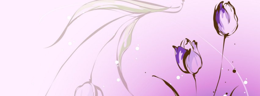 Purple tulips fb cover