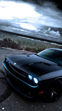 Dodge