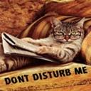Dont disturb me