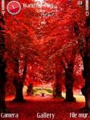 Gulmohar red tree forest