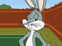 Rabbit vs duck challange