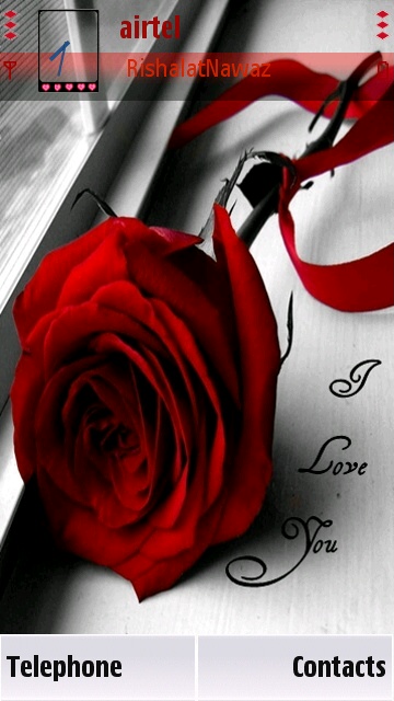 Sign of love red rose