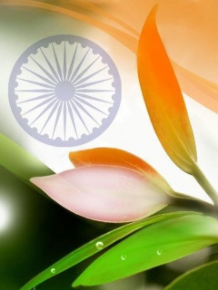 Indian flag