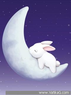 Sleeping bunny