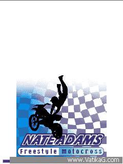 Freestyle motocross