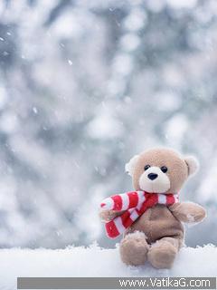 Sweet snow teddy