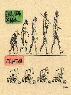 Evolution of man