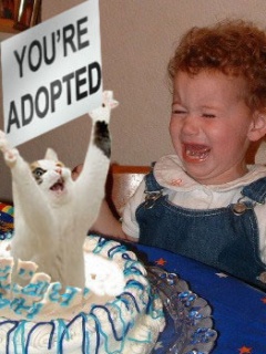 You are adopted