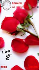 Rose glory of love