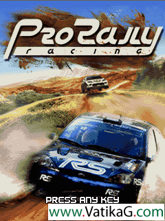 Pro rally racing