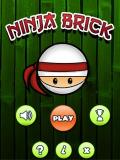 Ninja brick 320x240
