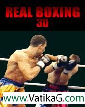 Real boxing3d