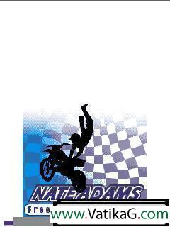 Freestyle motocross