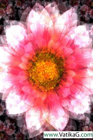 Smiling flowers