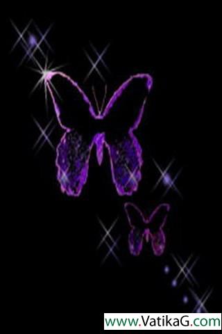 Butterfly purple