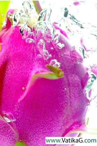 Water dragon fruit