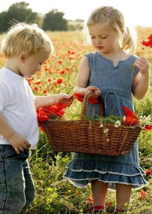  red flowers