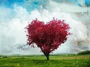 Tree heart 