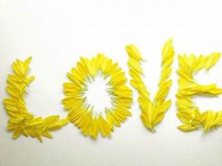 Yellow love colour