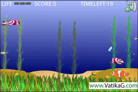 Fish life v1.0.apk