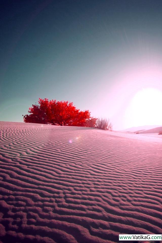 Sun flare 