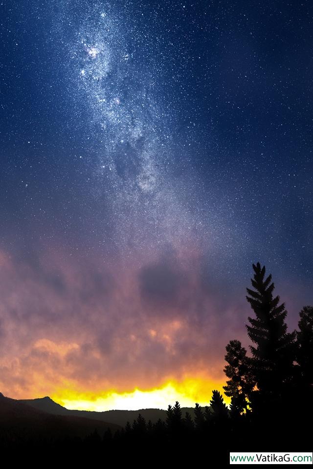 Swiss nights 