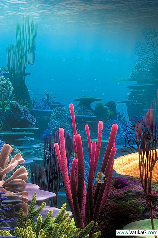 Tropical coral reef 