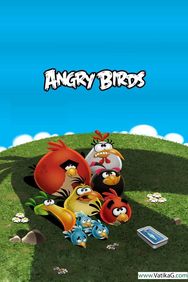 Angry birds game 