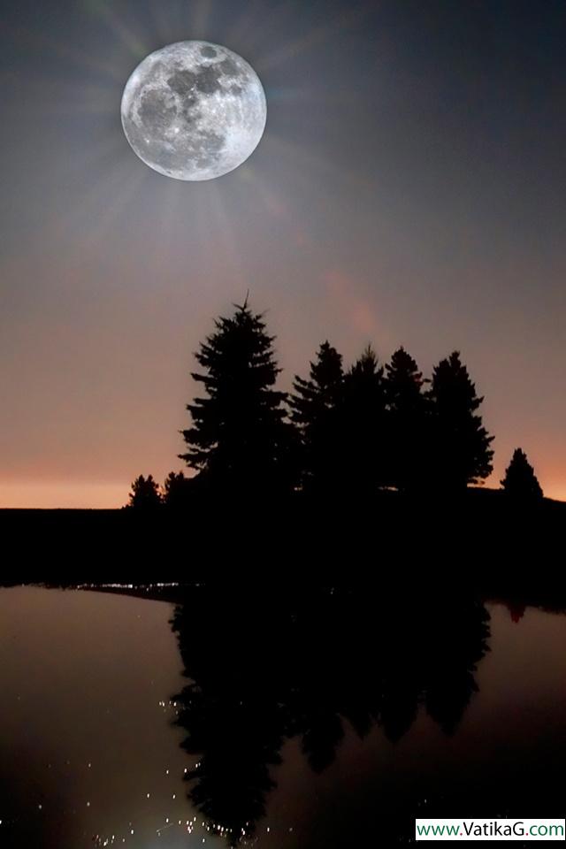 Moon night 