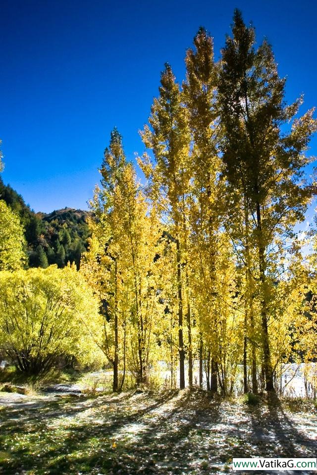 Autumn in new zealand 
