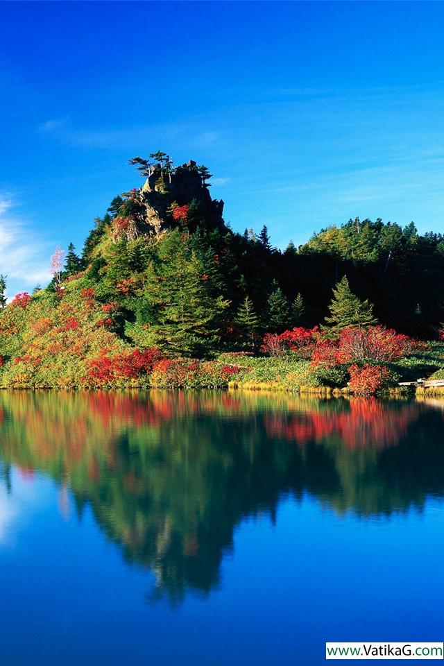 Nature reflections 