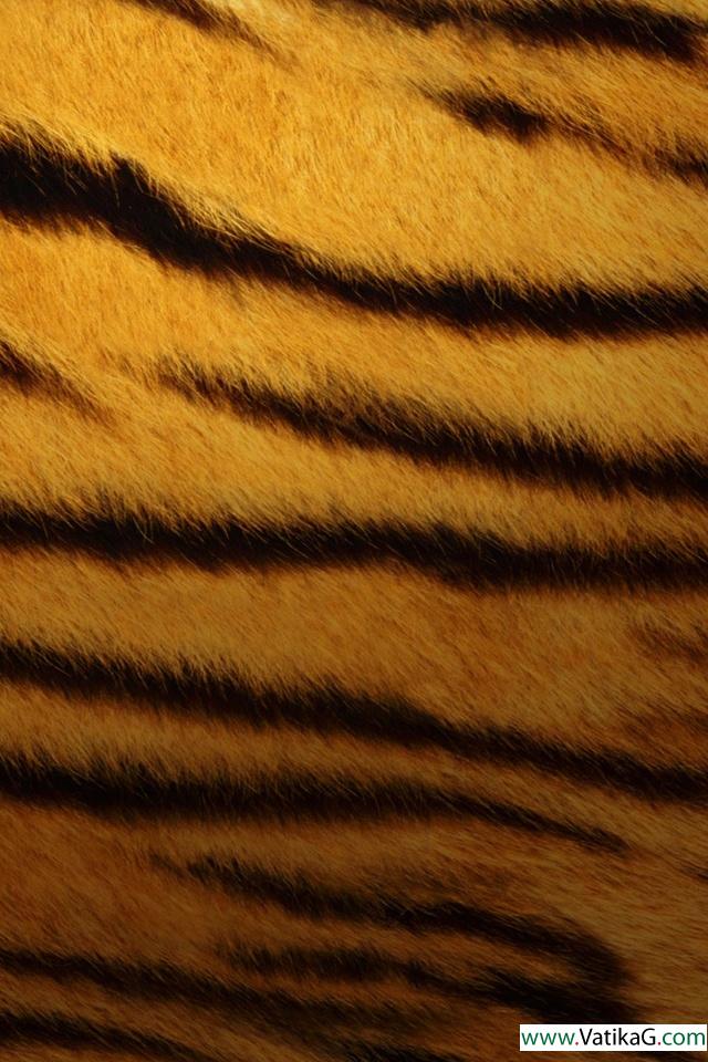 Tiger skin 