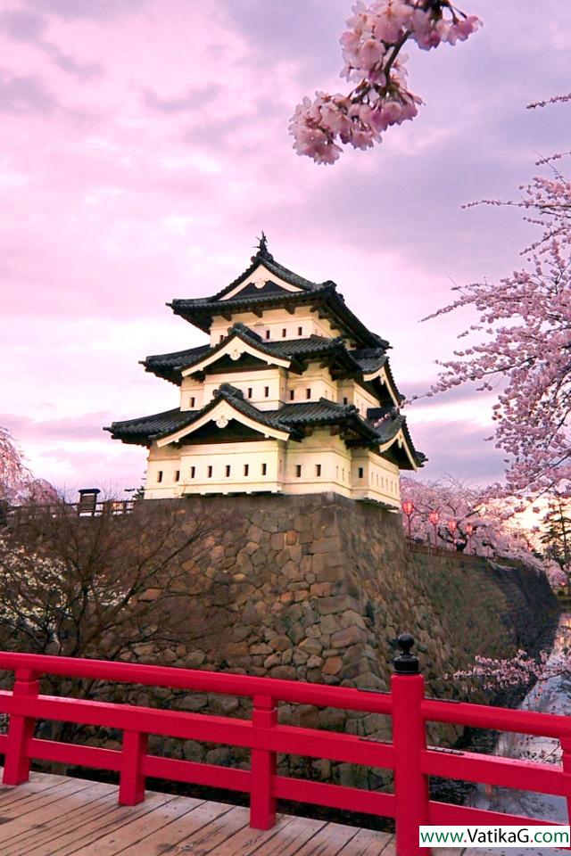 Castle japan 