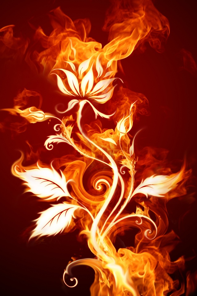 Fire flower 