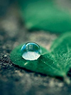 Water drop