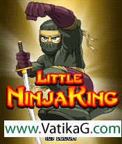  little ninjaking