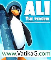  ali the penguin