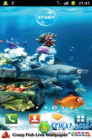 Crazy fish v1.00