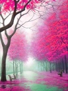 Pink nature