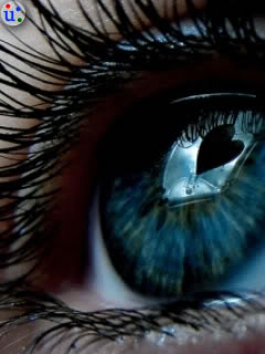 Love is in my eyes 